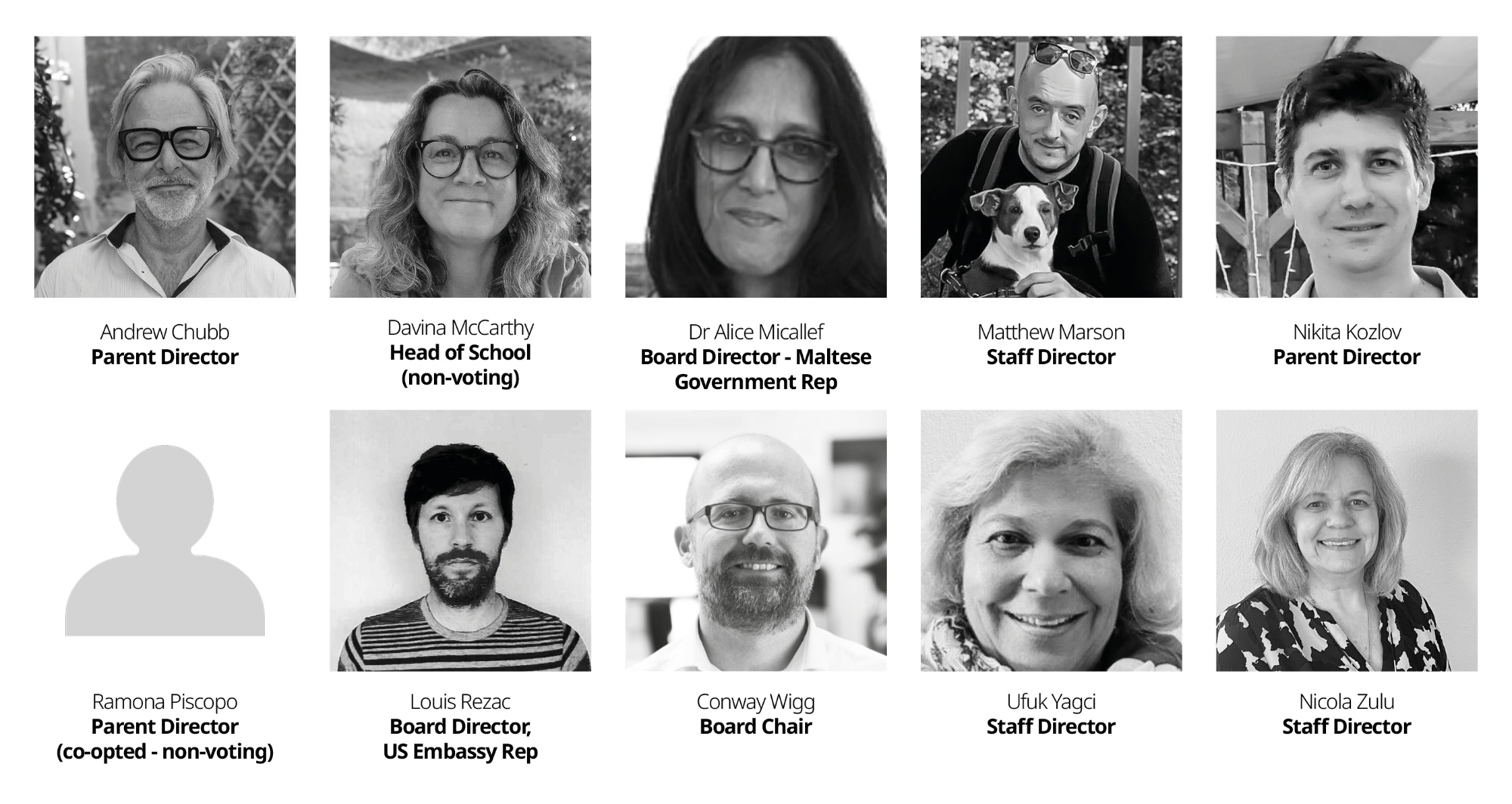 VIS Board 2024-2025